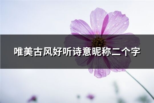 唯美古風好聽詩意昵稱二個字(677個)