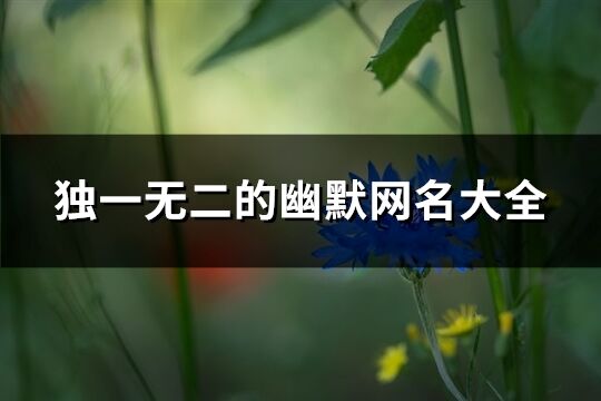 獨一無二的幽默網(wǎng)名大全(精選229個)