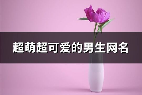 超萌超可愛的男生網名(451個)