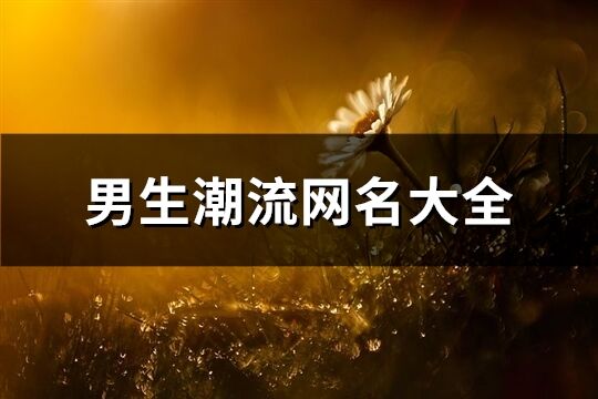 男生潮流網(wǎng)名大全(精選394個)
