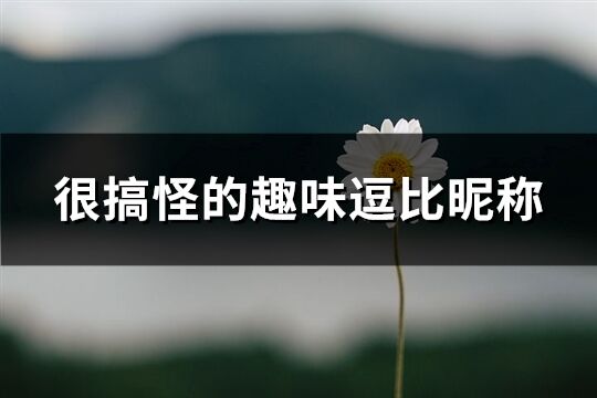 很搞怪的趣味逗比昵稱(精選97個)