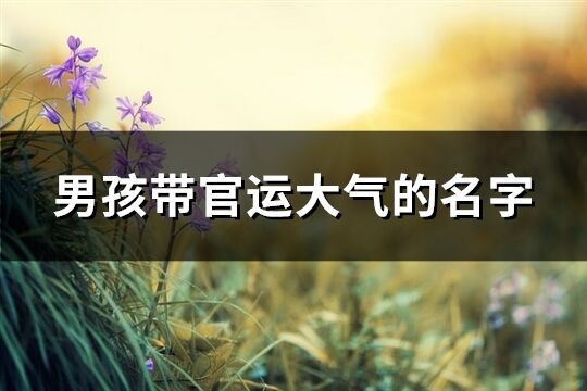 男孩帶官運(yùn)大氣的名字(192個(gè))