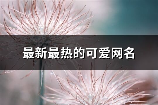 最新最熱的可愛網名(共591個)