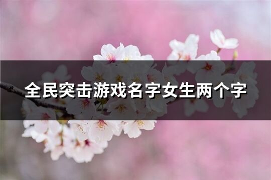 全民突擊游戲名字女生兩個字(334個)