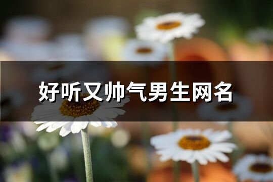 好聽又帥氣男生網(wǎng)名(372個)