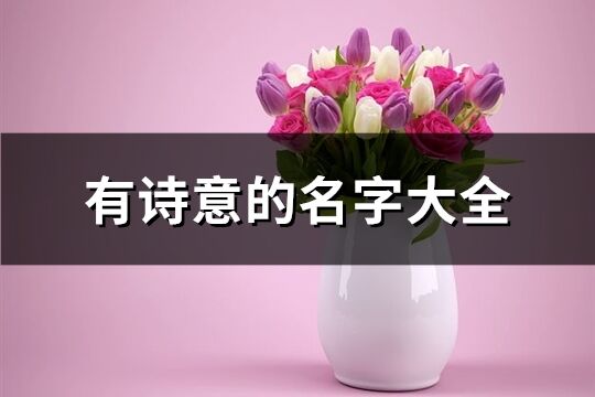 有詩意的名字大全(632個)