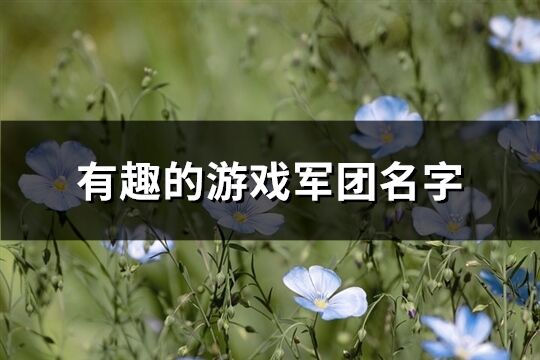有趣的游戲軍團名字(共447個)