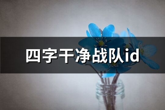 四字干凈戰隊id(472個)