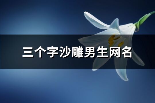 三個(gè)字沙雕男生網(wǎng)名(優(yōu)選354個(gè))