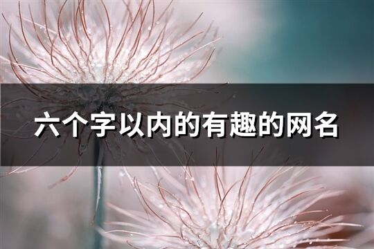 六個字以內的有趣的網名(共815個)