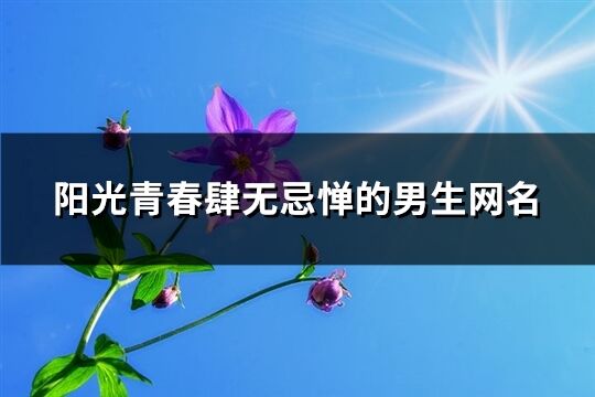 陽光青春肆無忌憚的男生網名(163個)