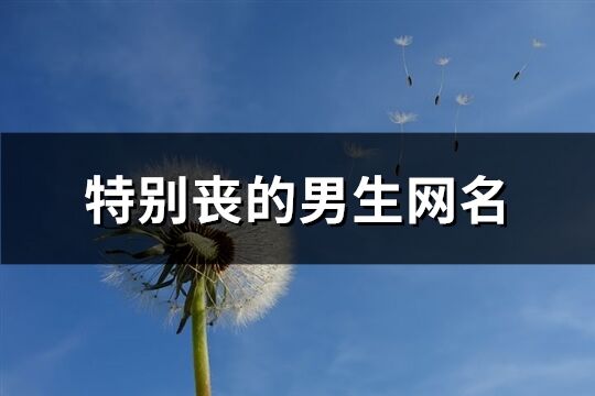 特別喪的男生網(wǎng)名(共133個)