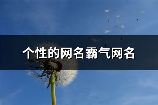 個性的網名霸氣網名(386個)