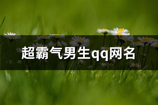 超霸氣男生qq網(wǎng)名(精選361個(gè))