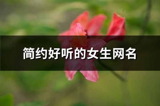 簡約好聽的女生網名(235個)