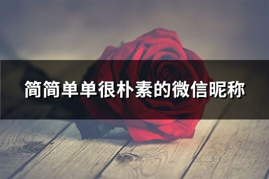 簡簡單單很樸素的微信昵稱(精選181個)