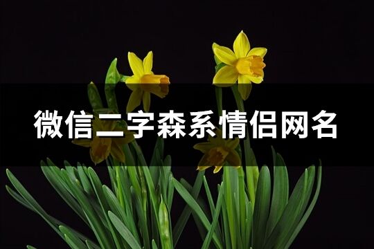 微信二字森系情侶網(wǎng)名(優(yōu)選176個)