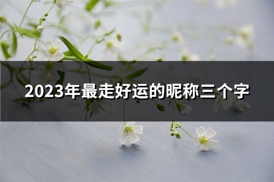2023年最走好運(yùn)的昵稱(chēng)三個(gè)字(精選104個(gè))