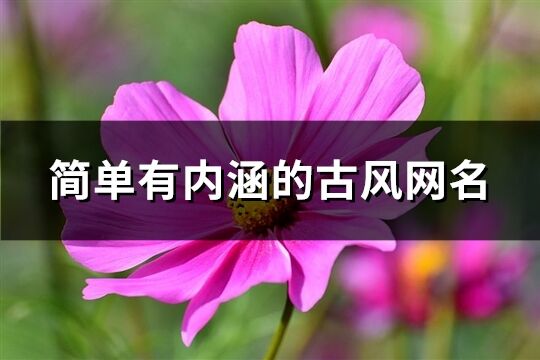 簡單有內(nèi)涵的古風網(wǎng)名(精選309個)