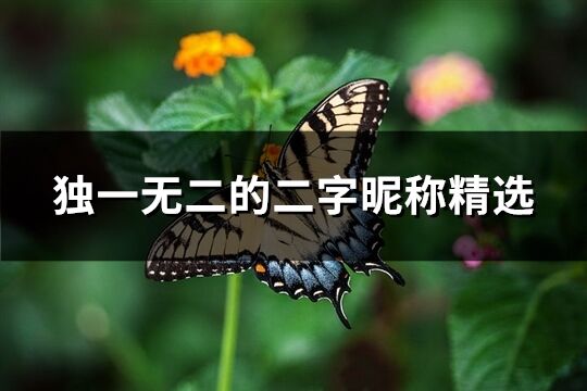 獨一無二的二字昵稱精選(優選1262個)