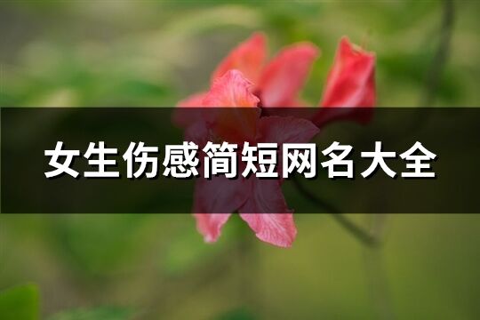 女生傷感簡短網名大全(精選142個)