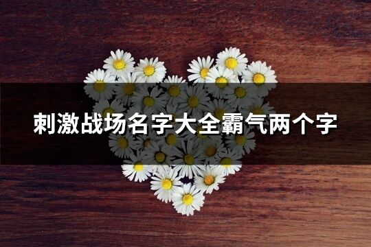 刺激戰場名字大全霸氣兩個字(325個)
