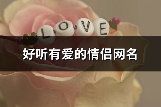 好聽有愛的情侶網名(優選276個)