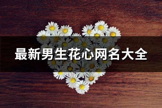 最新男生花心網(wǎng)名大全(精選258個(gè))