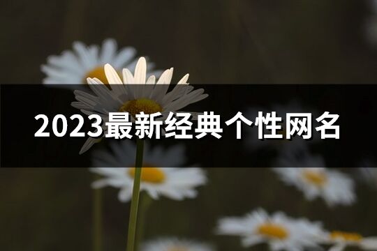 2023最新經典個性網名(共1781個)