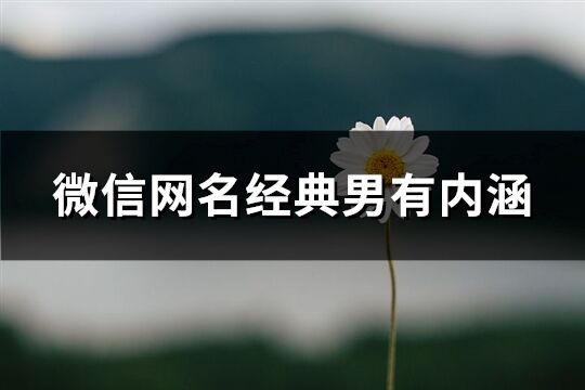 微信網(wǎng)名經(jīng)典男有內(nèi)涵(1072個(gè))