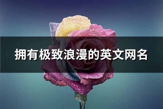 擁有極致浪漫的英文網(wǎng)名(64個)