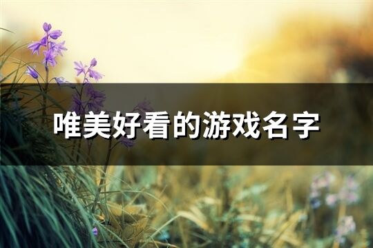 唯美好看的游戲名字(共508個)