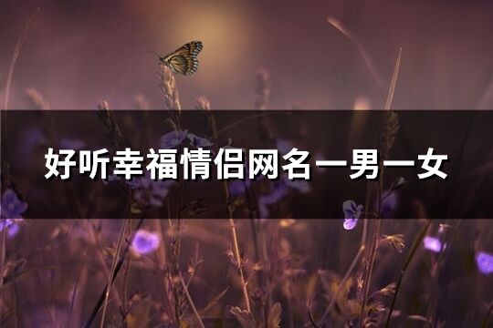 好聽幸福情侶網名一男一女(410個)