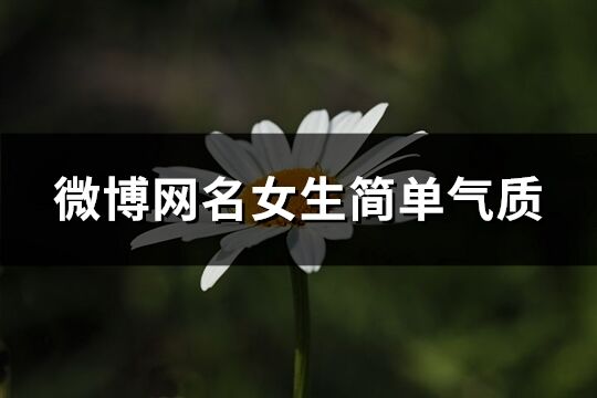 微博網名女生簡單氣質(共347個)