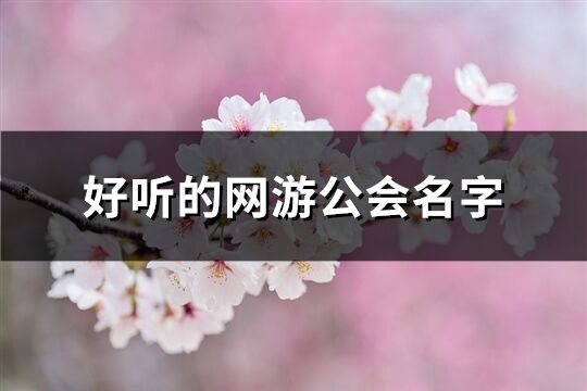 好聽的網(wǎng)游公會名字(286個)