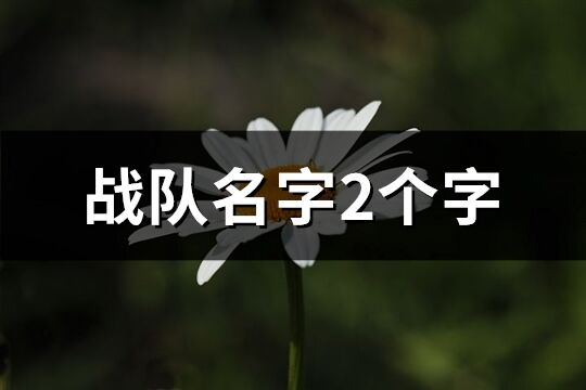 戰隊名字2個字(優選339個)
