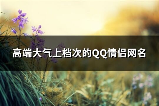 高端大氣上檔次的QQ情侶網(wǎng)名(優(yōu)選70個)
