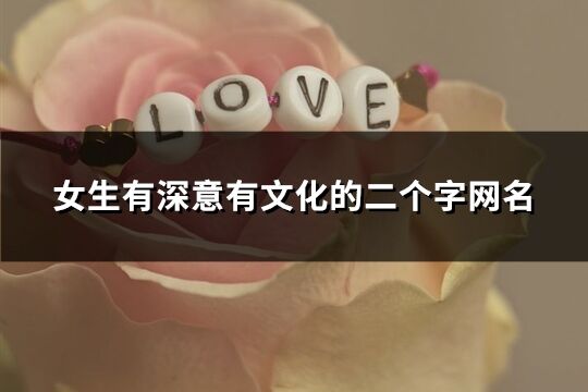 女生有深意有文化的二個字網名(774個)