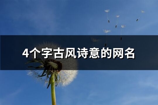 4個字古風詩意的網名(優選566個)