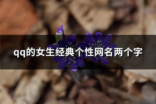 qq的女生經典個性網名兩個字(562個)