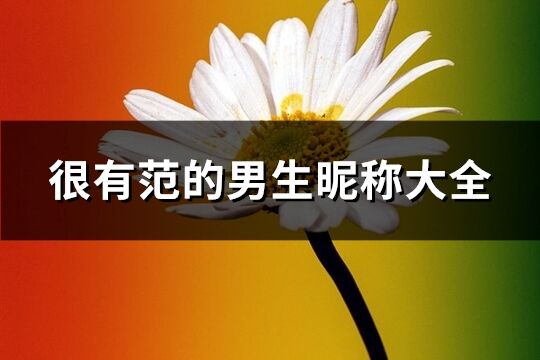 很有范的男生昵稱大全(優(yōu)選381個(gè))