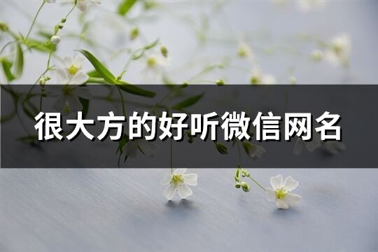 很大方的好聽微信網名(精選556個)
