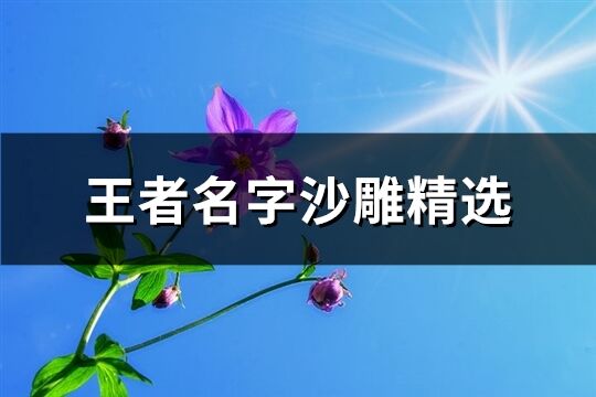 王者名字沙雕精選(優選339個)