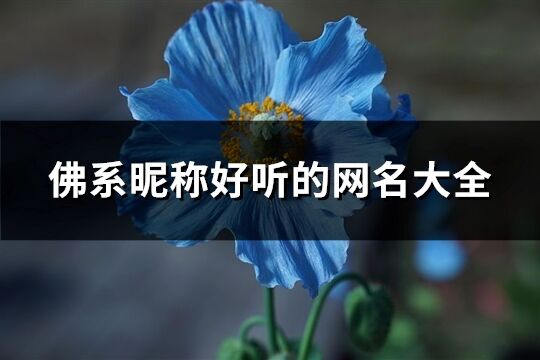 佛系昵稱好聽的網名大全(236個)