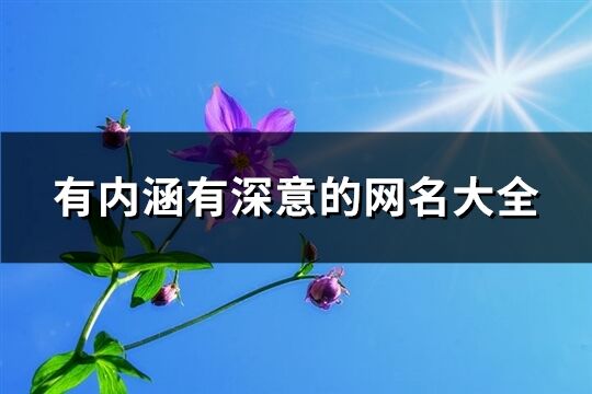 有內(nèi)涵有深意的網(wǎng)名大全(精選1025個)