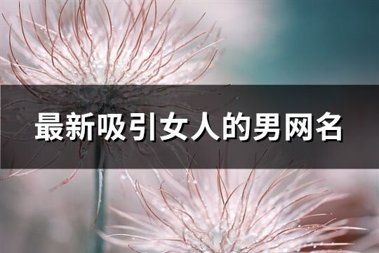 最新吸引女人的男網名(精選544個)