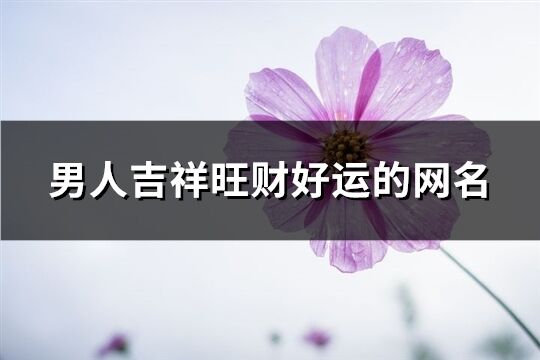 男人吉祥旺財(cái)好運(yùn)的網(wǎng)名(精選294個(gè))