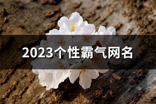 2023個性霸氣網名(精選612個)