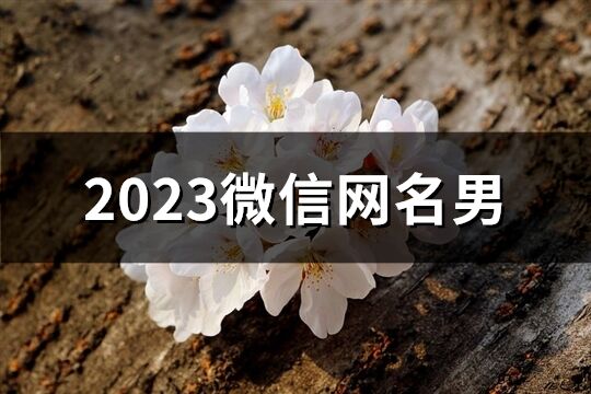 2023微信網(wǎng)名男(精選1662個)