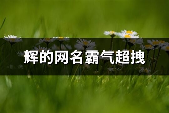 輝的網(wǎng)名霸氣超拽(優(yōu)選66個)